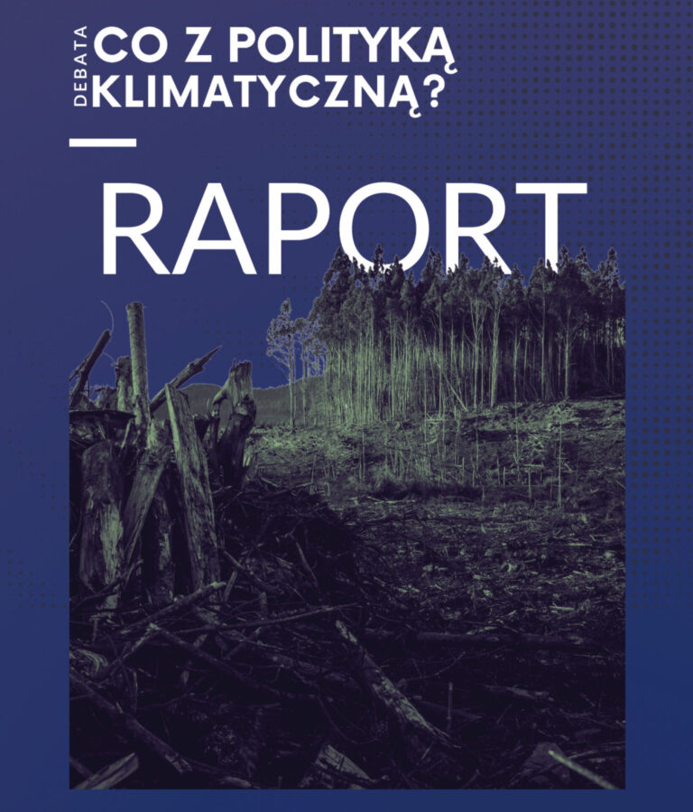 Raport