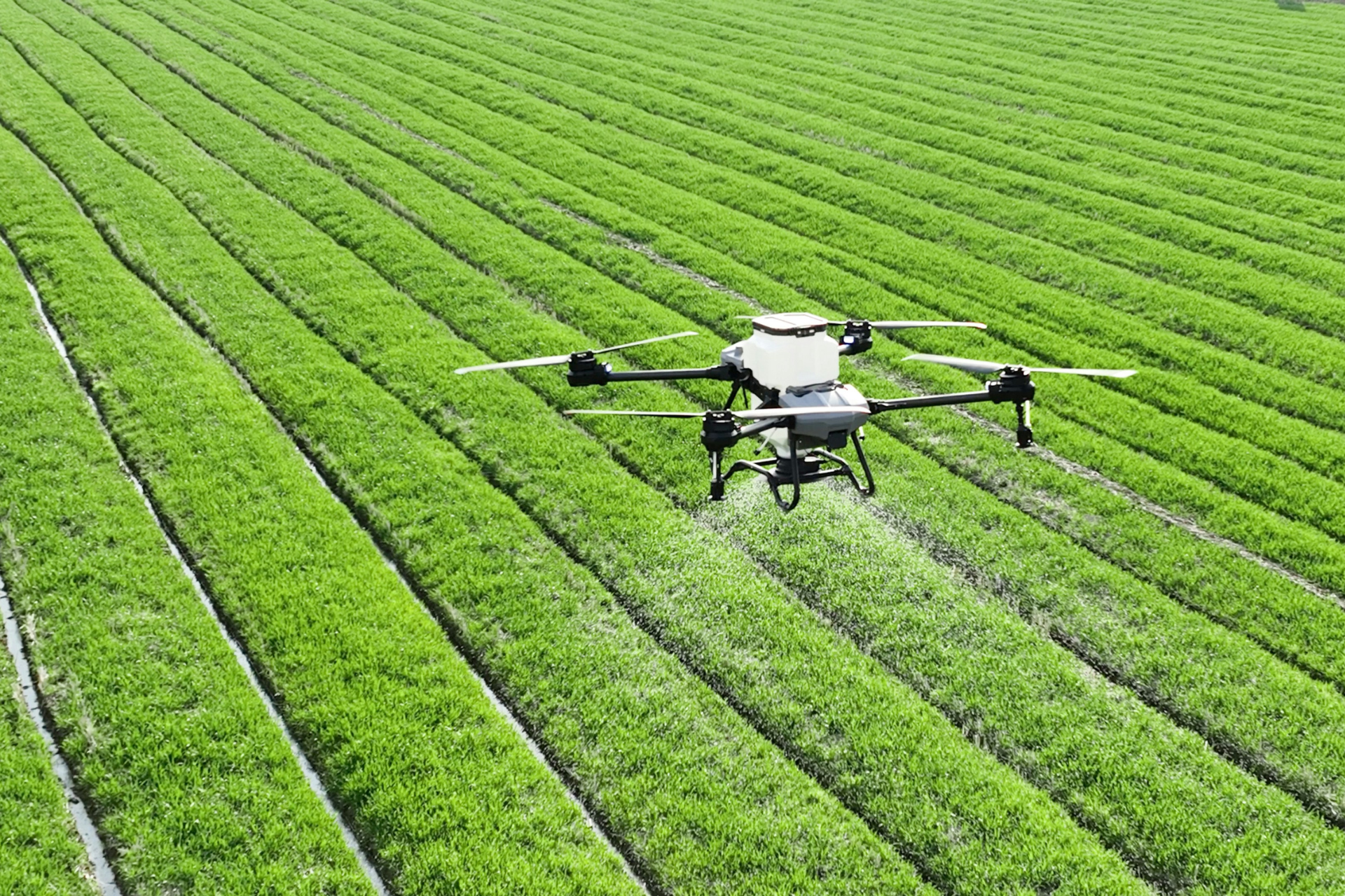 Dron rolniczy wykonujący oprysk nad uprawami. Omnibus X przewiduje możliwość wyłączenia niektórych dronów z ogólnego zakazu oprysków lotniczych, jeśli ich ryzyko zostanie ocenione jako nie większe niż w przypadku sprzętu naziemnego.