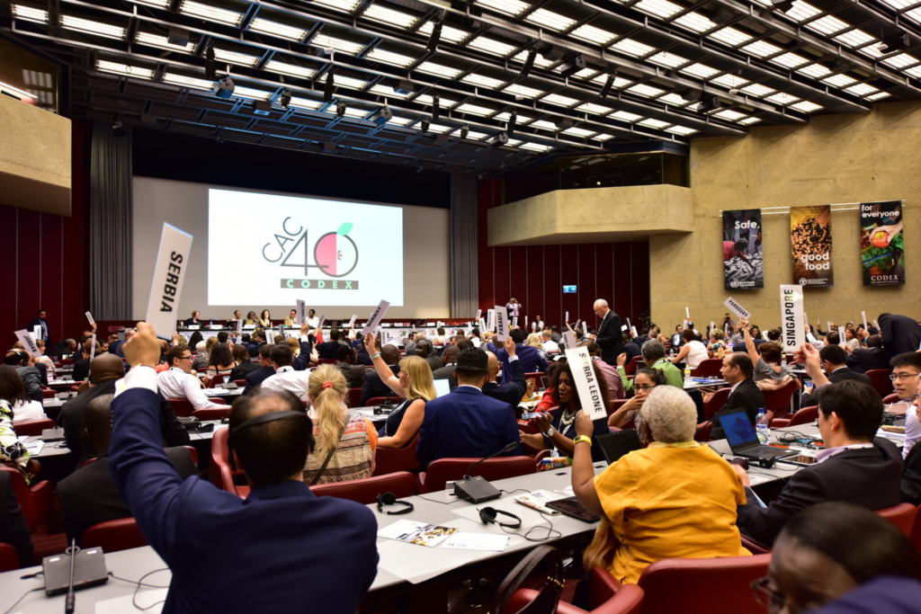 Uczestnicy i uczestniczki obrad Komisji Kodeksu Żywnościowego FAO/WHO podczas głosowania.